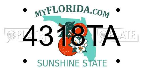 4318TA Florida License Plate