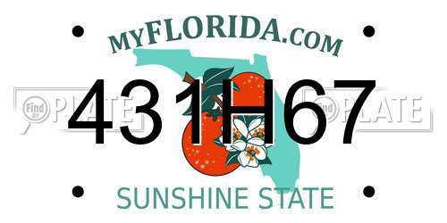 431H67 Florida License Plate