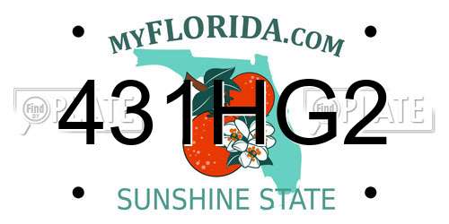 431HG2 Florida License Plate