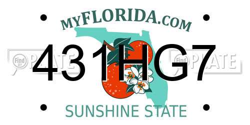 431HG7 Florida License Plate