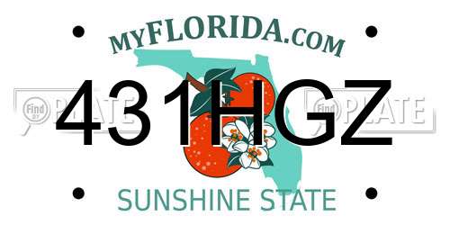 431HGZ Florida License Plate