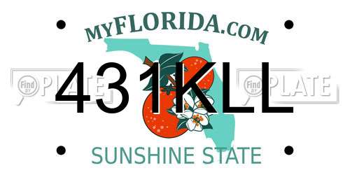 431KLL Florida License Plate