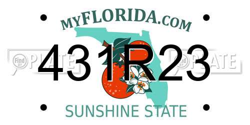 431R23 Florida License Plate