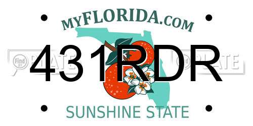 431RDR Florida License Plate