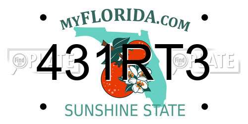 431RT3 Florida License Plate