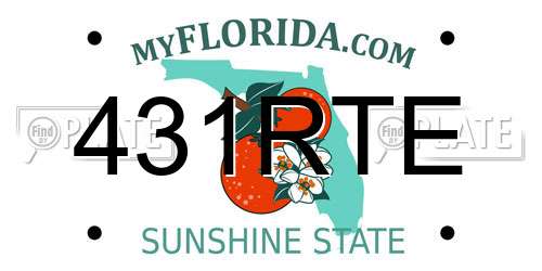 431RTE Florida License Plate