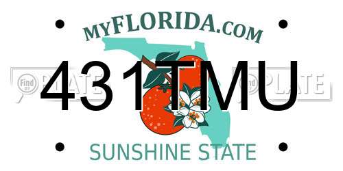 431TMU Florida License Plate