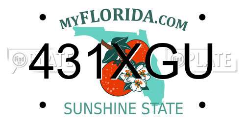 431XGU Florida License Plate