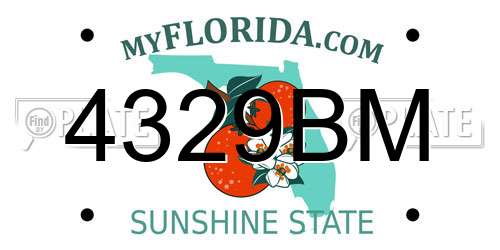 4329BM Florida License Plate