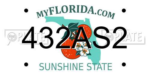 432AS2 Florida License Plate
