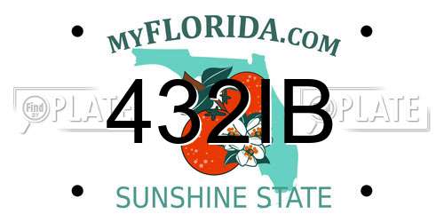 432IB Florida License Plate