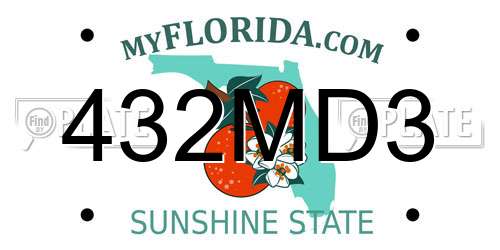 432MD3 Florida License Plate