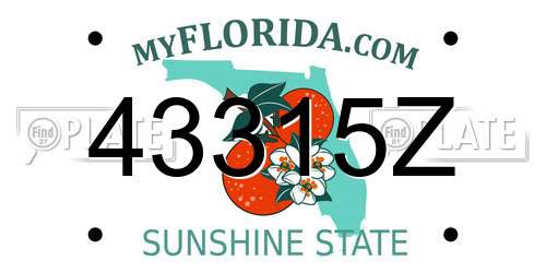 43315Z Florida License Plate