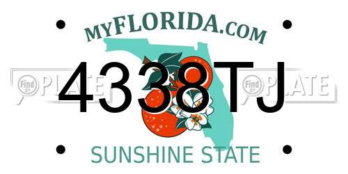 4338TJ Florida License Plate