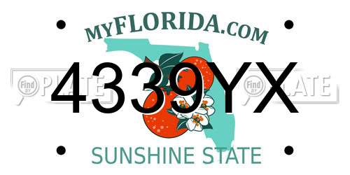 4339YX Florida License Plate