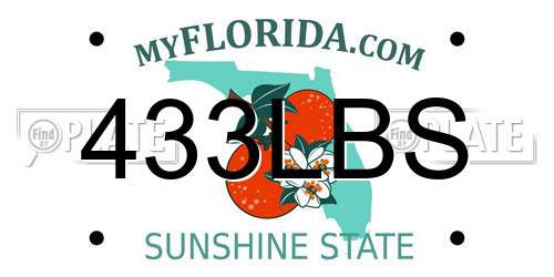 433LBS Florida License Plate