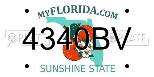 4340BV Florida License Plate