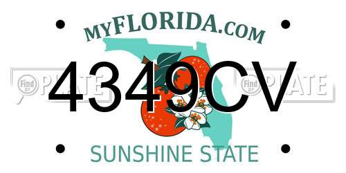 4349CV Florida License Plate