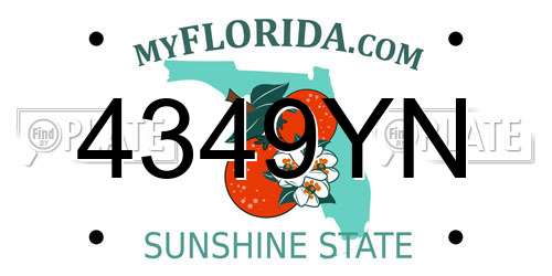 4349YN Florida License Plate