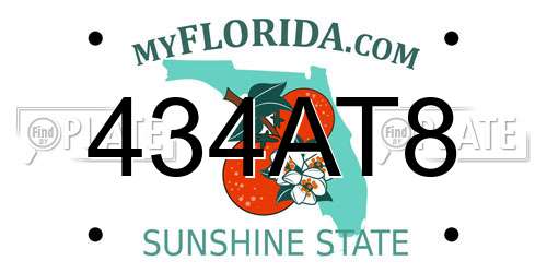 434AT8 Florida License Plate
