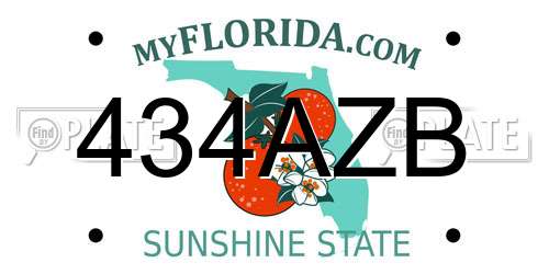 434AZB Florida License Plate