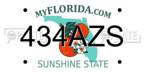 434AZS Florida License Plate