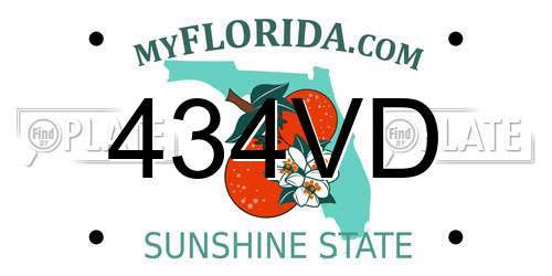 434VD Florida License Plate
