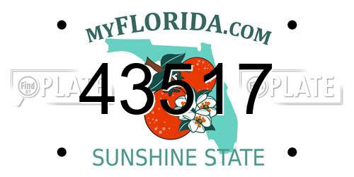 43517 Florida License Plate