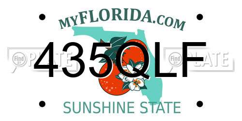 435QLF Florida License Plate
