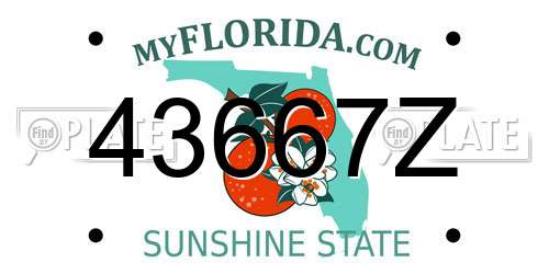 43667Z Florida License Plate