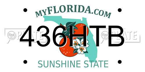 436HTB Florida License Plate