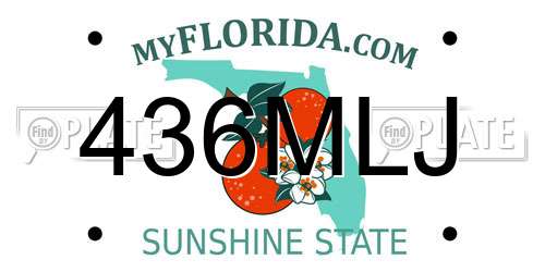 436MLJ Florida License Plate