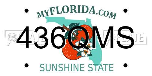 436QMS Florida License Plate