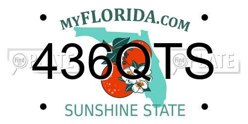 436QTS Florida License Plate