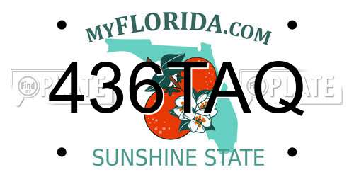 436TAQ Florida License Plate
