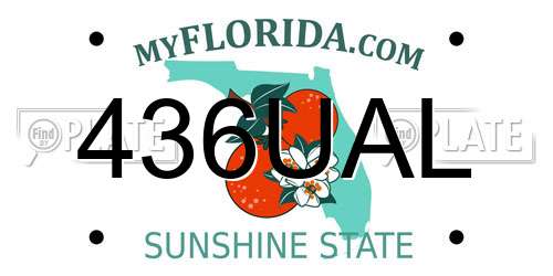 436UAL Florida License Plate