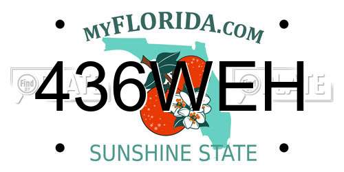 436WEH Florida License Plate
