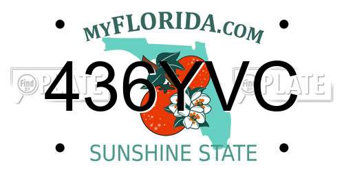436YVC Florida License Plate