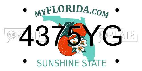 4375YG Florida License Plate