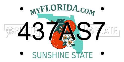 437AS7 Florida License Plate