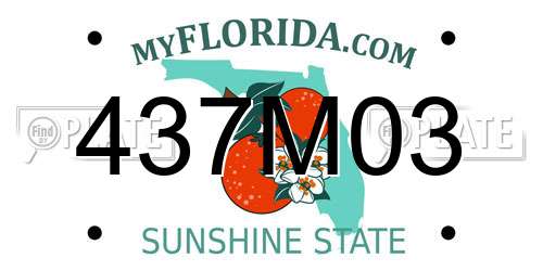 437M03 Florida License Plate