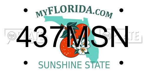 437MSN Florida License Plate