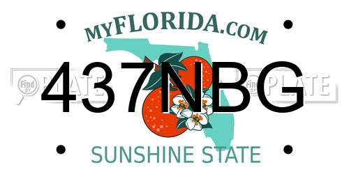 437NBG Florida License Plate