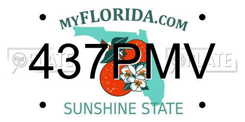 437PMV Florida License Plate