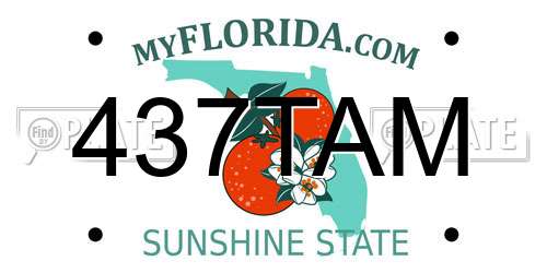 437TAM Florida License Plate