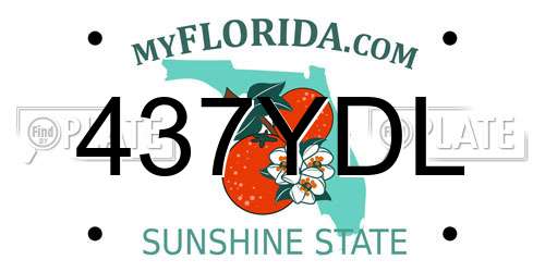 437YDL Florida License Plate