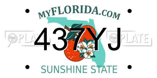 437YJ Florida License Plate