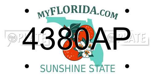 4380AP Florida License Plate
