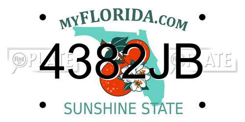 4382JB Florida License Plate