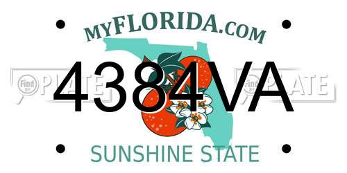4384VA Florida License Plate